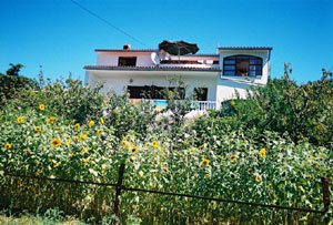 01IR_PalitMP01.jpg