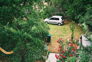01IR_PalitMP18.jpg