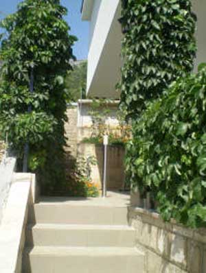 06NE_Neum9a.jpg