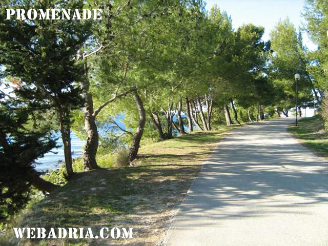 06ZD_zadar4e.jpg