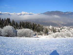 08SL_bohinj5.jpg