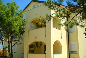 08VI_VirZP02.jpg