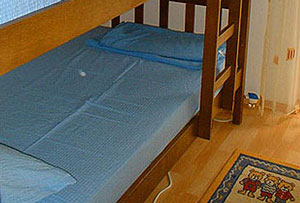 08VI_VirZP07.jpg