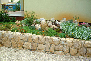 08VI_VirZP16.jpg