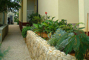 08VI_VirZP17.jpg
