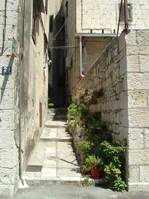 09ST_Split12ljk.jpg