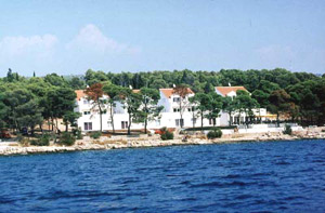 0_09IB_brac1a1.jpg