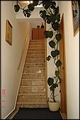 0_120SD_Swallow9b.jpg
