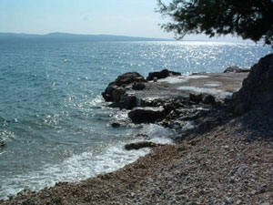 0_191MID_L.RogoznicaSS20.jpg