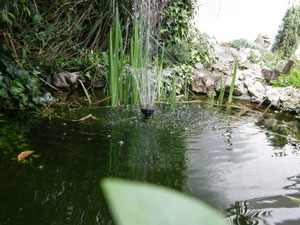 0_192ND_Sukosan4.jpg