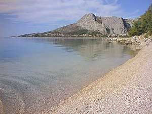 0_19MID_Omis2.jpg