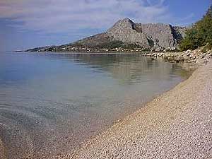 0_19MID_Omis5.jpg