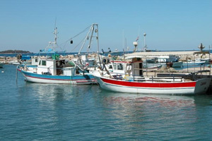 0_28IS_porec5c.jpg