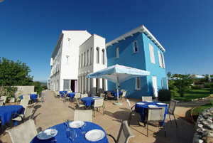 0_33HO_losinj2b.jpg