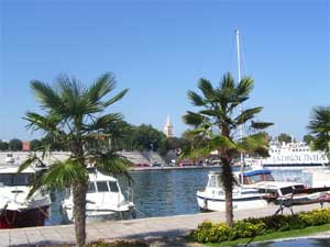 Zadar
